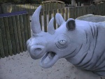 rhinoc�ros