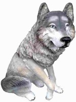 Wolfs hond  70