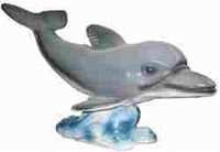 Dolfijn  28