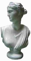 Bust 