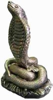 cobra  25