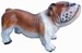 Bulldog kleine 37