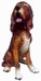  Basset 45