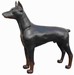 Doberman 99cm
