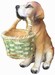 Een hond met een mand 38