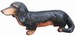 Basset 30x55