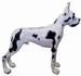 Duitse Dog 110x125