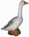 Gans 52