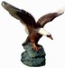 Eagle groot 98