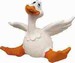Eend 