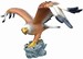 Eagle XXL 90x175