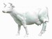 Gladde koe 147*220