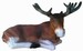Eland 40