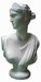 Bust 