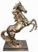 Fiery paard 44