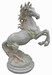 Fiery paard 64